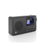 Digitales Radio - Dual MCR 120