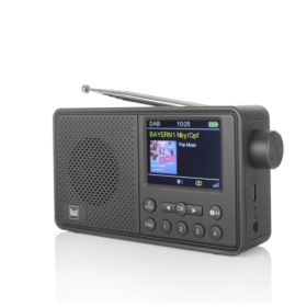 Digitales Radio - Dual MCR 120