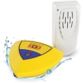 swimming pool alarm systems