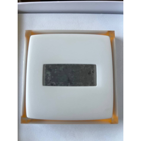 Netatmo, Smart Thermostat for Smartphone, German Version