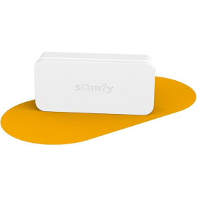 Somfy 2401487 vibration and opening detector for the protection of doors and windows