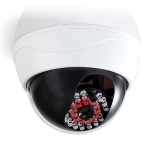Sistemas de seguridad > Cámaras de vigilancia falsas
