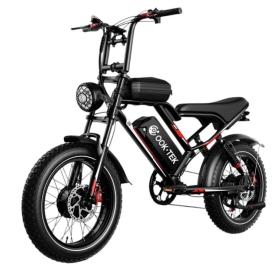 OOKTEK Electric Bike 48v 750w 1000w High Speed Thick Tires