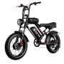 OOKTEK Electric Bike 48v 750w 1000w High Speed Thick Tires