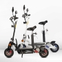 Folding Electric Scooter 1000W, Registration Roc