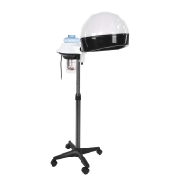 Hairdryer with stand for professional salon