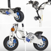 Folding Electric Scooter 1000W, Registration Roc