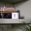 Netatmo Smart Thermostat + 3 Heads, WiFi App Control, Heating Control