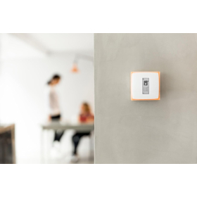 Termostato inteligente Wi-Fi Netatmo NTH01-AMZ: control remoto inteligente de calefacción para una sola caldera