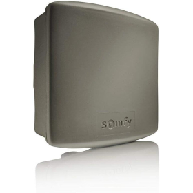 Access receiver SOMFY 1841022 RTS