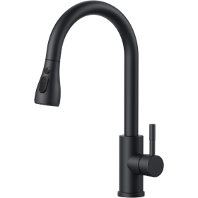 Black FORIOUS stainless steel kitchen faucet with pull-out spout