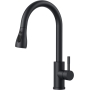 Black FORIOUS stainless steel kitchen faucet with pull-out spout