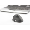 DIGITUS DA-20155 Wireless Ergonomic Mouse, Vertical, 6D (Buttons), Rechargeable Battery Black