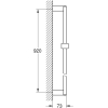 Grohe Euphoria stainless steel shower rail