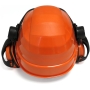 Oregon Waipoua Professional Chainsaw Safety Helmet with Ear Cuff and Mesh Visor