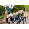 PARKSIDE 20 V cordless chainsaw “PKSA 20-Li D4”