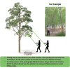 Branch saw with handle 8.4m handsaw Adjustable length, high reach pole with carrying bag, cuts cleanly and quickly for high branches