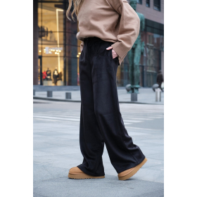 Hose Corduroy Isoliert