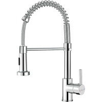 APPASO kitchen faucet with 2 nozzles, 360° rotatable, stainless steel
