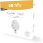 Somfy 2401489 – Symbol zum Ein- und Ausschalten des Alarms