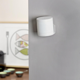 Sensor de movimiento interior Somfy 2401490
