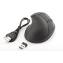 DIGITUS DA-20155 Wireless Ergonomic Mouse, Vertical, 6D (Buttons), Rechargeable Battery Black