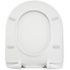Amazon Basics D-förmiger Harnstoff-Toilettensitz, matte Oberfläche, 36,5 x 43 cm