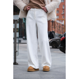 Hose Corduroy Isoliert