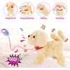 Interactive baby plush toy with walking, barking, tail wagging, singing and repeating functions
