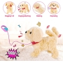 Interactive baby plush toy with walking, barking, tail wagging, singing and repeating functions