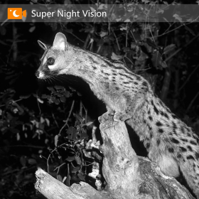 COLIFE Outdoor Hunting Camera 28MP 1520P/2.7K HD Motion Detection Невидима інфрачервона камера падіння з нічним баченням
