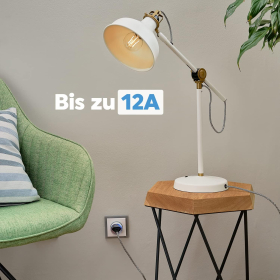 Shelly Plug S - розумна розетка для Alexa, Google Home, Nest Hub, програмована розетка з голосовим керуванням, вимірювання струму