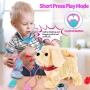 Interactive baby plush toy with walking, barking, tail wagging, singing and repeating functions