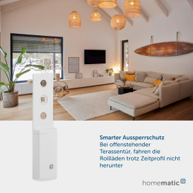 Homematic IP 142800A0 Porte/fenêtre Sans Fil 