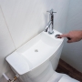 Iseo toilet cistern with low sink