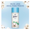 Lenor Fresh Cotton Blossom suavizante en gránulos