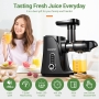 AMZCHEF Entsafter Gemüse und Obst mit 2 Geschwindigkeitsmodi - Slow Juicer mit Tragbare Flasche und 2 Tassen