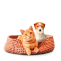 Everything for happy pets: Discover high-quality pet supplies at EZON-Shop