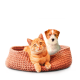 Everything for happy pets: Discover high-quality pet supplies at EZON-Shop