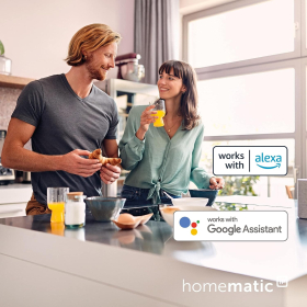 IP-перемикач Homematic 142721A0