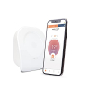 Somfy 1870775 V2 Drahtloser Funkthermostat für Heizung oder Einzelkessel, potentialfreier Kontakt