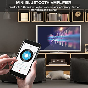 Mini placa amplificadora MakerHawk
