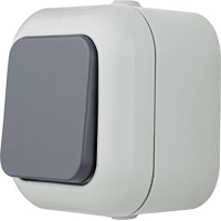REV 005565 Atlantic, interruptor de luz con pulsador, ambiente húmedo IP44, 1 polo, montaje en superficie, gris