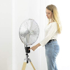 Cecotec EnergySilence 1600 Woody, 50 W, 40 cm, 3 speeds, height adjustable, remote control