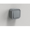 Legrand Plexo 10A Waterproof Switch, Grey Finish