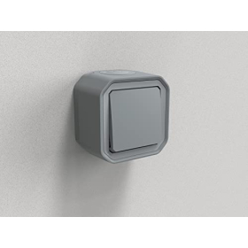 Legrand Plexo 10A Wasserdichter Schalter, graue Ausführung