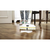 Kärcher EWM 2 cordless floor mop with 2 microfiber rollers