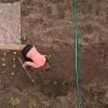 Relaxdays Micro-perforated Garden Hose, 10m, Flat, Efficient