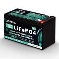 EverExceed 12V 8Ah LiFePO4 Batterie mit BMS, 3000+ Zyklen für USV/Solar