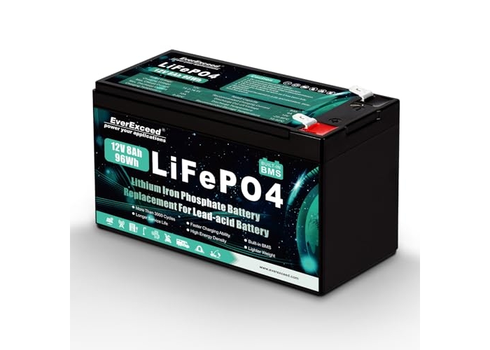 EverExceed 12V 8Ah LiFePO4 Batterie mit BMS, 3000+ Zyklen für USV/Solar EverExceed 12V 8Ah LiFePO4 Batterie mit BMS, 3000+ Zyklen für USV/Solar